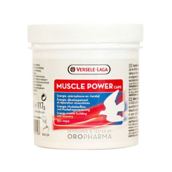 تصویر ماسل پاور